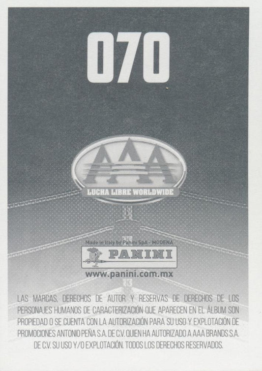 Aerostar trading card PWcatalog