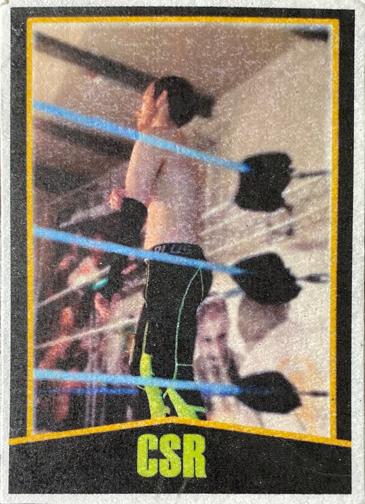 PCW UK Academy – CSR Trading Card PWcatalog