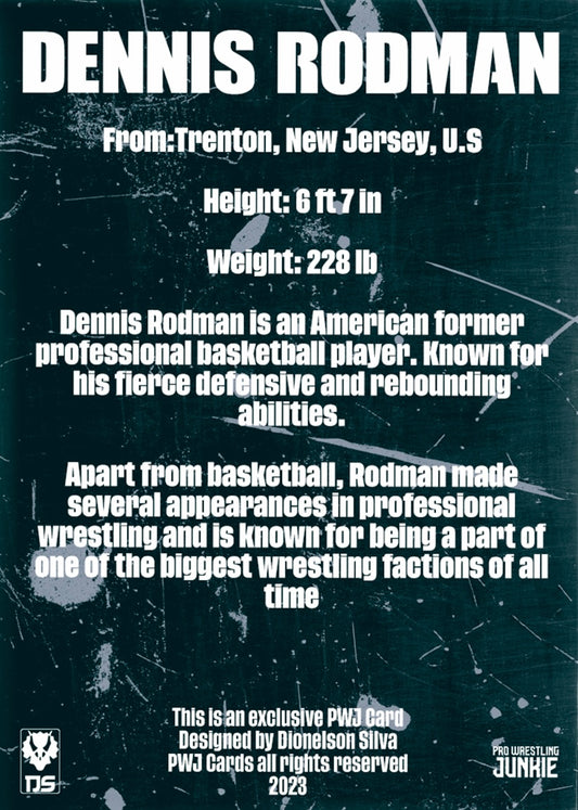 Dennis Rodman trading card PW Catalog