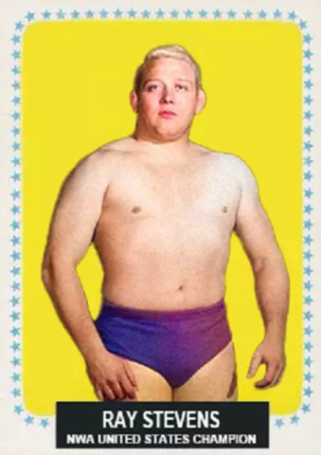 RAY Stevens trading card PW Catalog