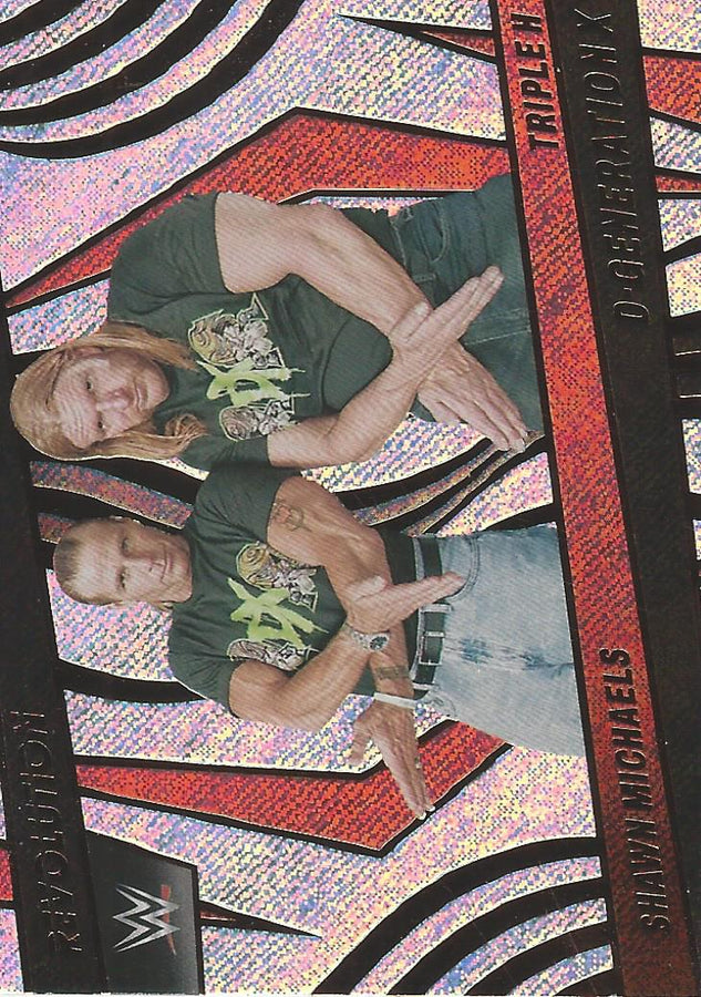 WWE Panini Revolution 2022 Shawn Michaels and Triple H #134