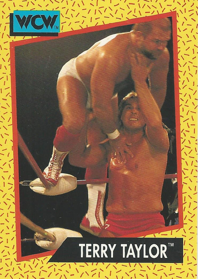 WCW Impel 1991 Terry Taylor #70