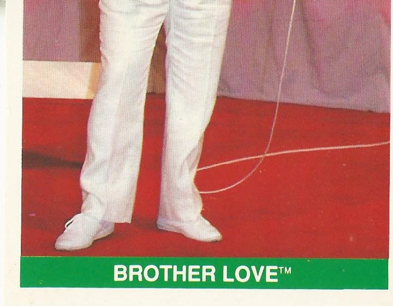 WWF Merlin Sticker Collection 1990 Brother Love #70