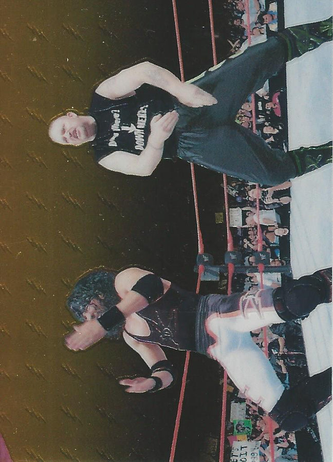 WWF Smackdown Chrome 1999 X-Pac and Road Dogg #70