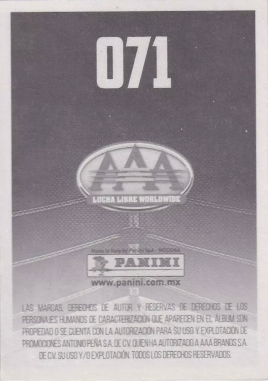 Aerostar trading card PWcatalog