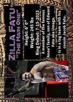 Zilla Fatu “the Main One” trading card PW Catalog