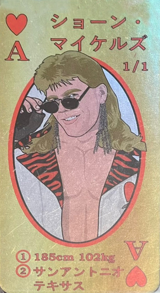 Shawn Michaels trading card PW Catalog