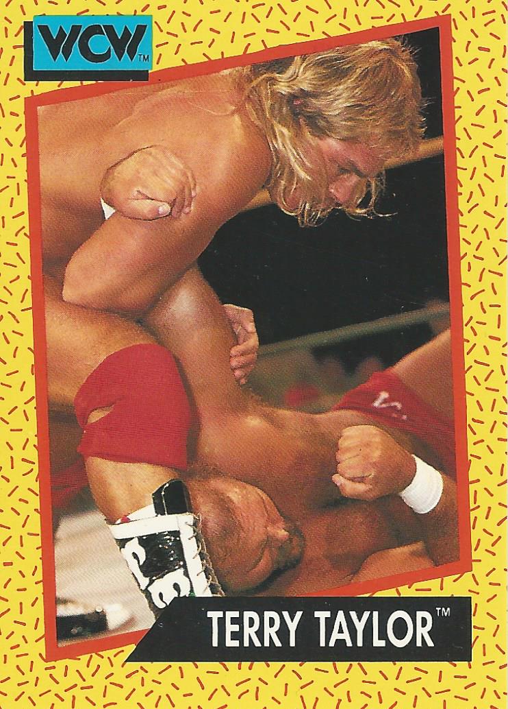 WCW Impel 1991 Terry Taylor #71
