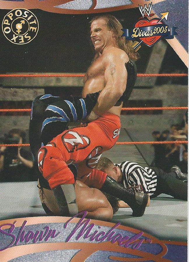 WWE Fleer Divas 2005 Shawn Michaels #71