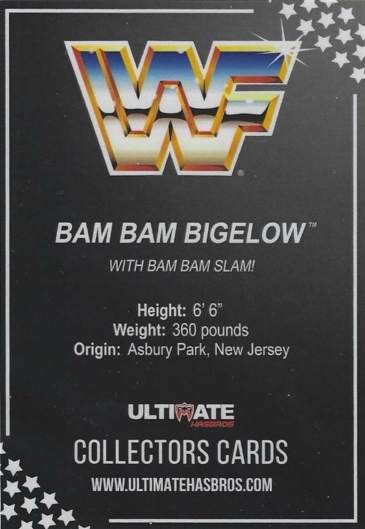 BAM BAM Bigelow trading card PW Catalog