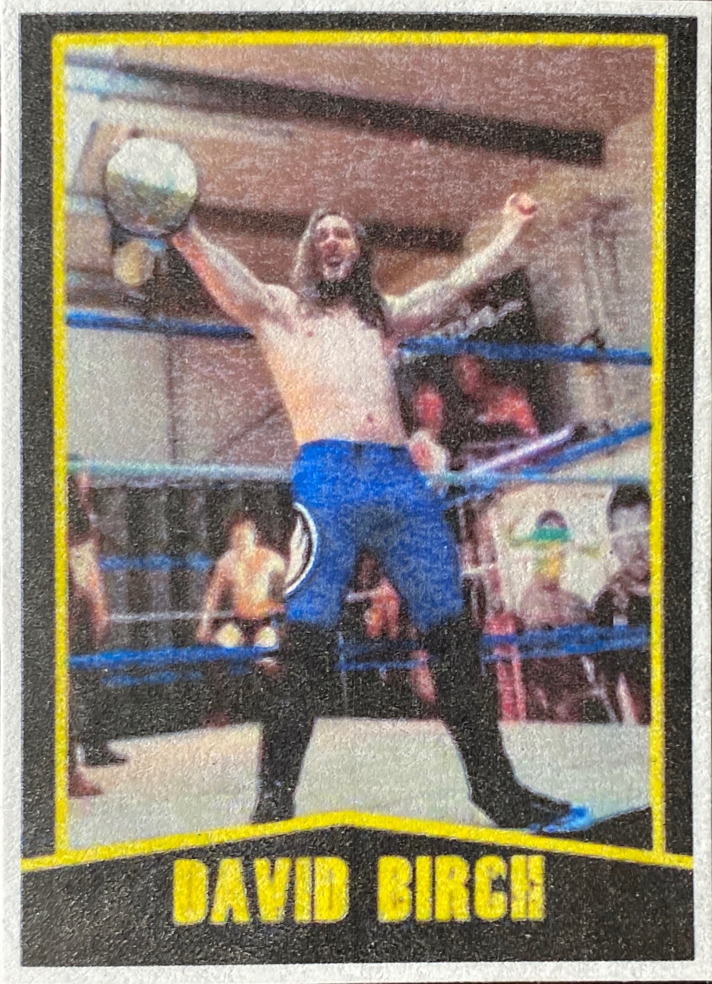 PCW UK Academy – David Birch
