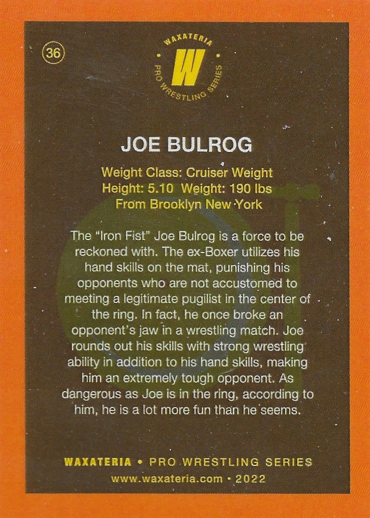 The Iron Fist Bulrog - image 2
