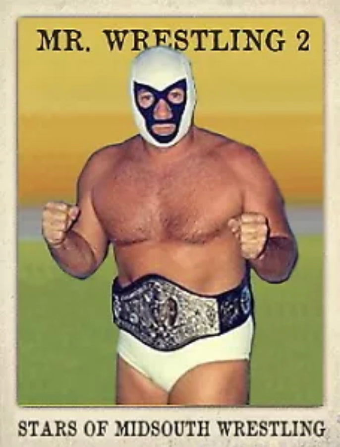 MR. Wrestling 2