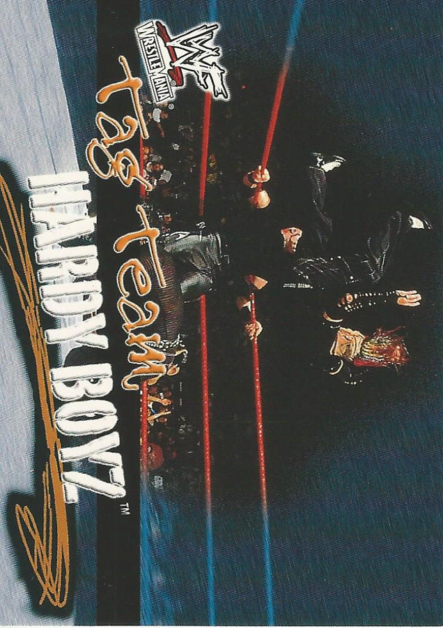 WWF Fleer Wrestlemania 2001 The Hardy Boyz #72