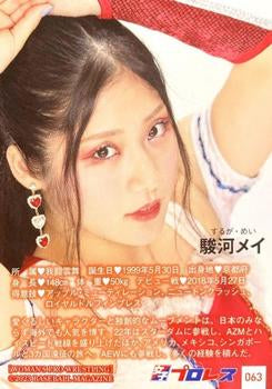 MEI Suruga