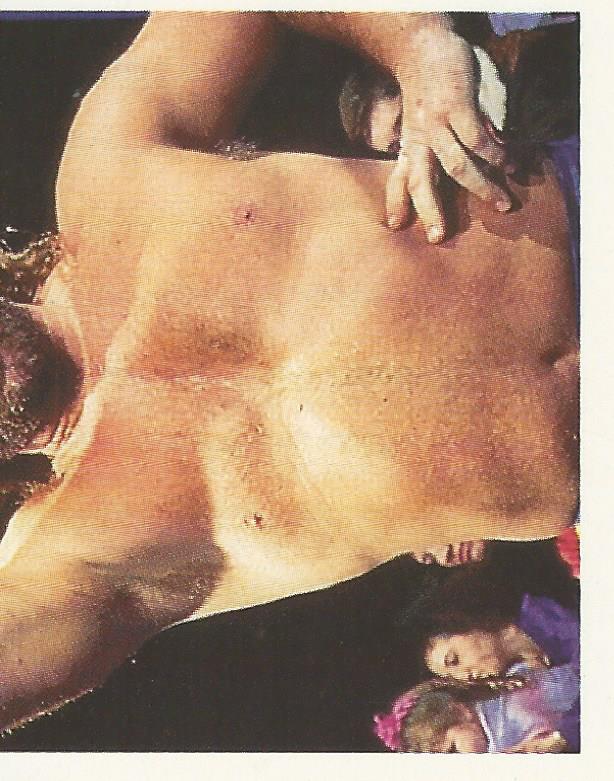 WWF Merlin Stickers 1992 Hacksaw Jim Duggan #73