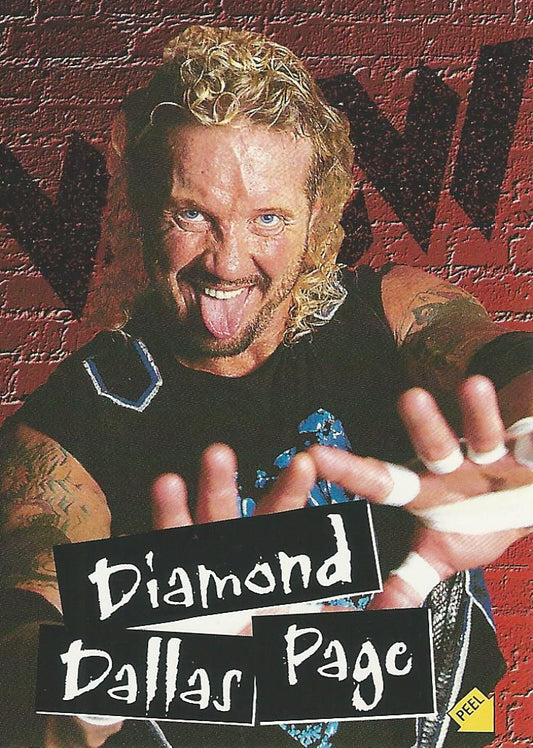 WCW/NWO Topps 1998 DDP S2 trading card PW Catalog