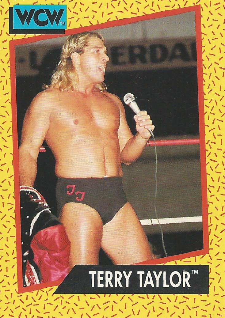 WCW Impel 1991 Terry Taylor #73
