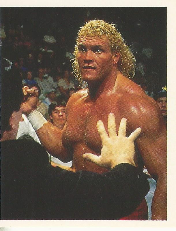WWF Merlin Stickers 1991 Sid Justice #74
