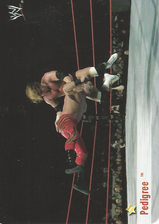 WWE Smackdown 2004 Tesla Triple H #74