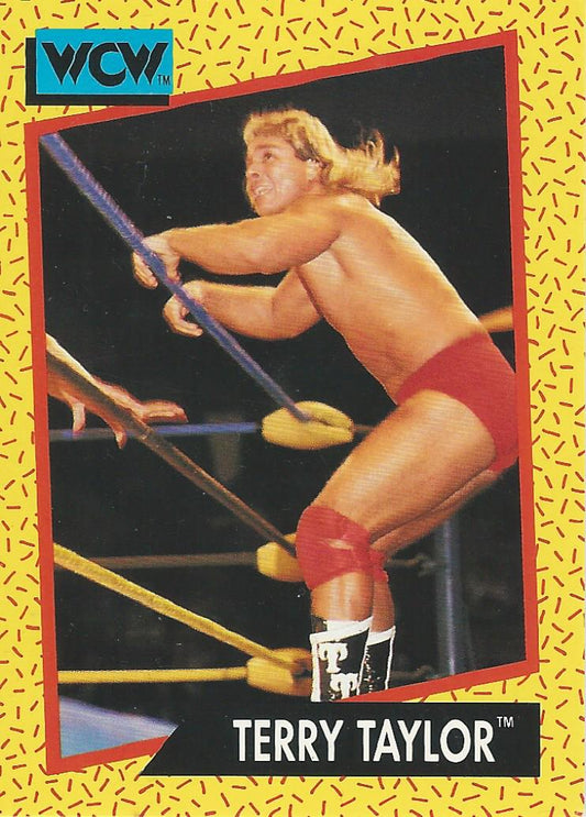 WCW Impel 1991 Terry Taylor #74