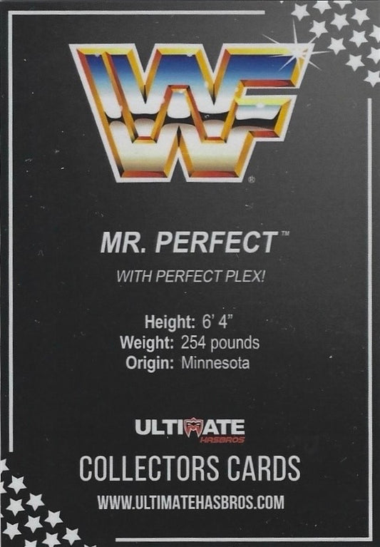 MR. Perfect trading card PW Catalog