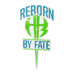 The Hardy Boyz "Reborn By Fate" Car Magnet