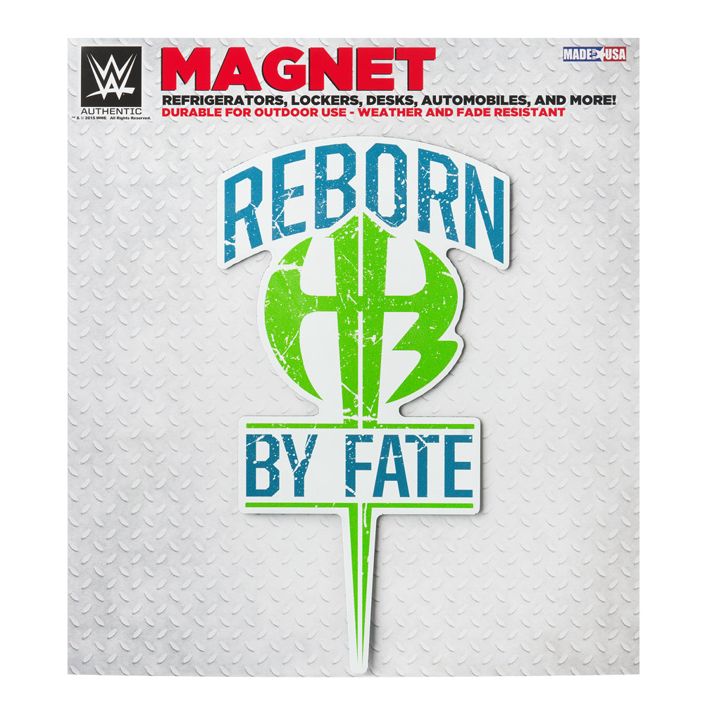 The Hardy Boyz "Reborn By Fate" Car Magnet