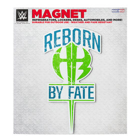 The Hardy Boyz "Reborn By Fate" Car Magnet