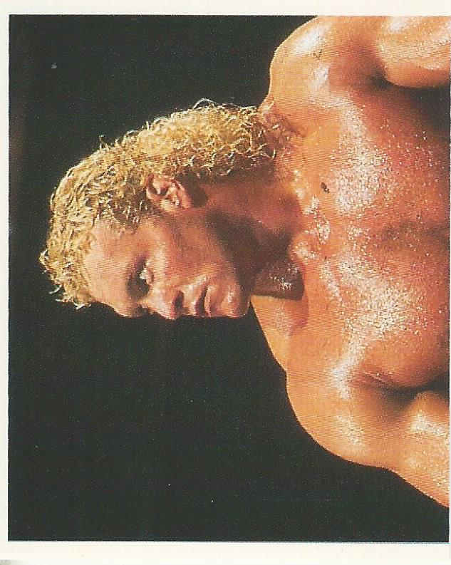 WWF Merlin Stickers 1991 Sid Justice #75