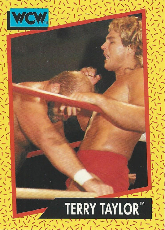 WCW Impel 1991 Terry Taylor #75