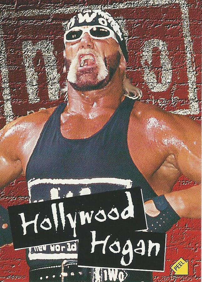 WCW/NWO Topps 1998 Hollywood Hogan S5 trading card PW Catalog