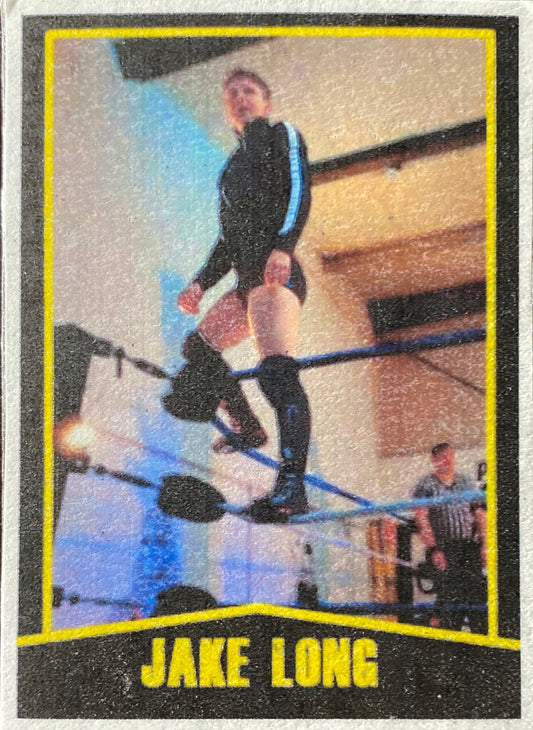 PCW UK Academy – Jake Long Trading Card PWcatalog