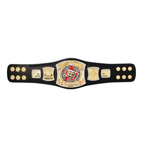 WWE Rated-R Spinner Championship Mini Replica Title Belt 2