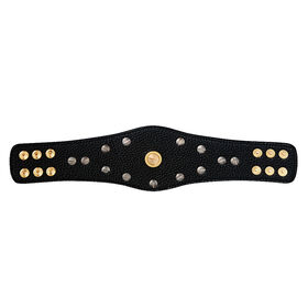 WWE Rated-R Spinner Championship Mini Replica Title Belt