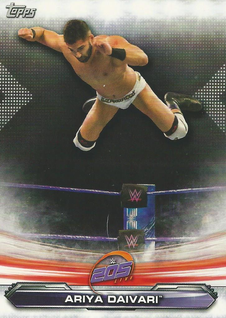 WWE Topps Raw 2019 Ariya Daivari #76