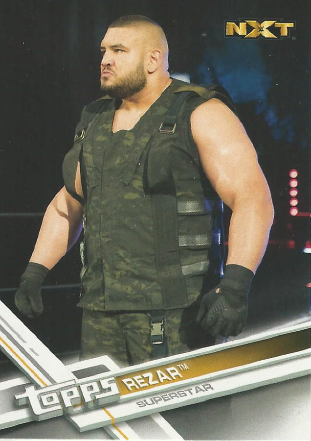 WWE Topps Then Now Forever 2017 Rezar #177