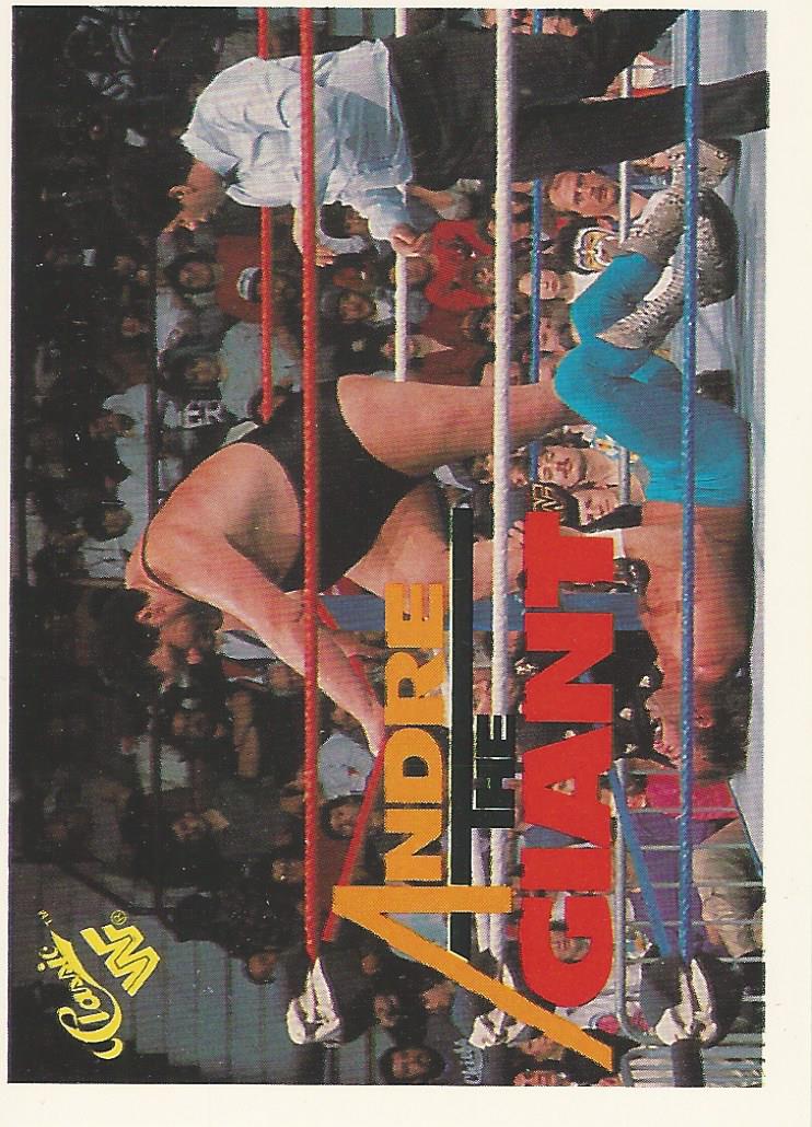 WWF Classic Trading Cards 1990 Andre the Giant No.76 trading card PW Catalog
