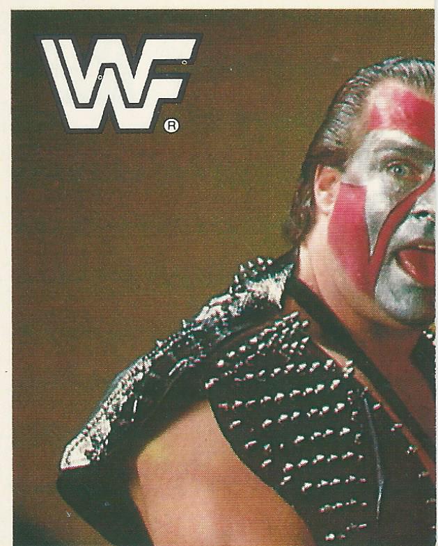 WWF Merlin Sticker Collection 1990 Demolition #76