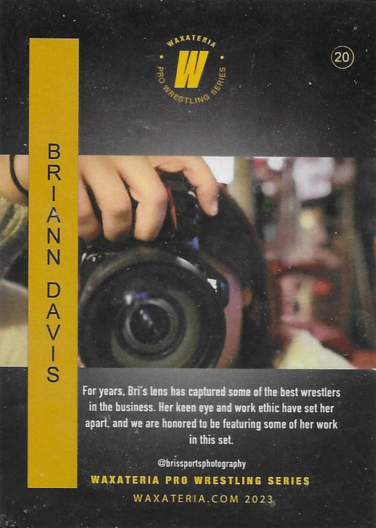 Briann Davis trading card PW Catalog