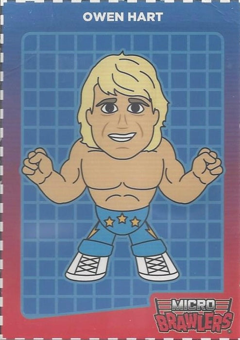 Owen Hart