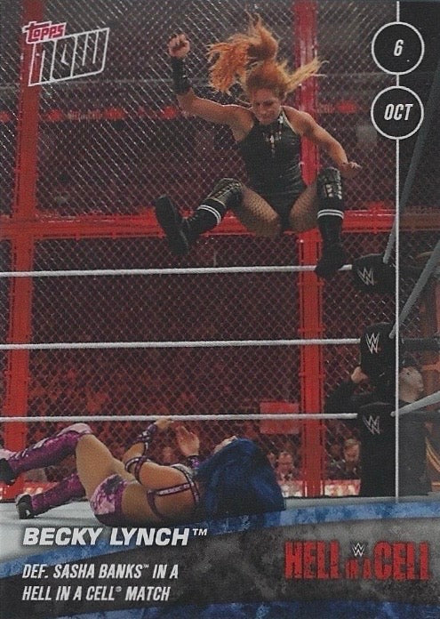Becky Lynch DEF. Sasha Banks in a Hell in a Cell Match