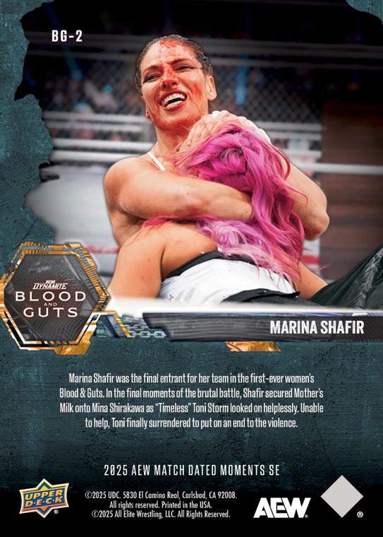 Marina Shafir – Marina Shafir Chokes Out Mina Shirakawa With Mothers Milk to Help HER Team Win Blood & Guts