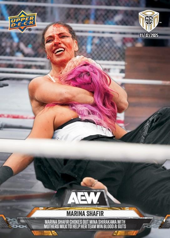 Marina Shafir – Marina Shafir Chokes Out Mina Shirakawa With Mothers Milk to Help HER Team Win Blood & Guts