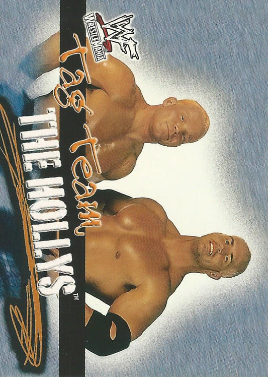 WWF Fleer Wrestlemania 2001 Crash and Hardcore Holly #77