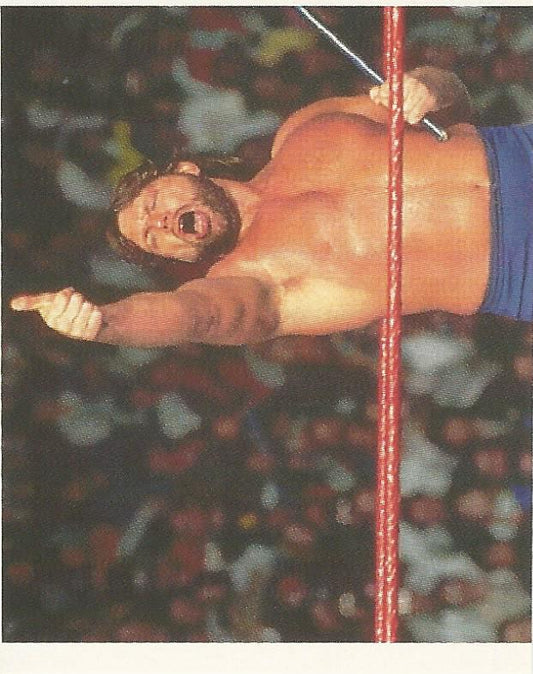 WWF Merlin Stickers 1992 Hacksaw Jim Duggan #77