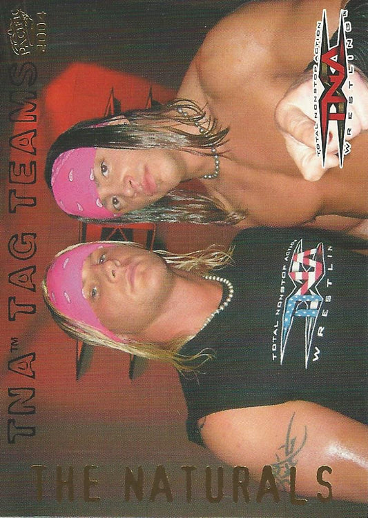 TNA Pacific 2004 The Naturals Tag Team #2