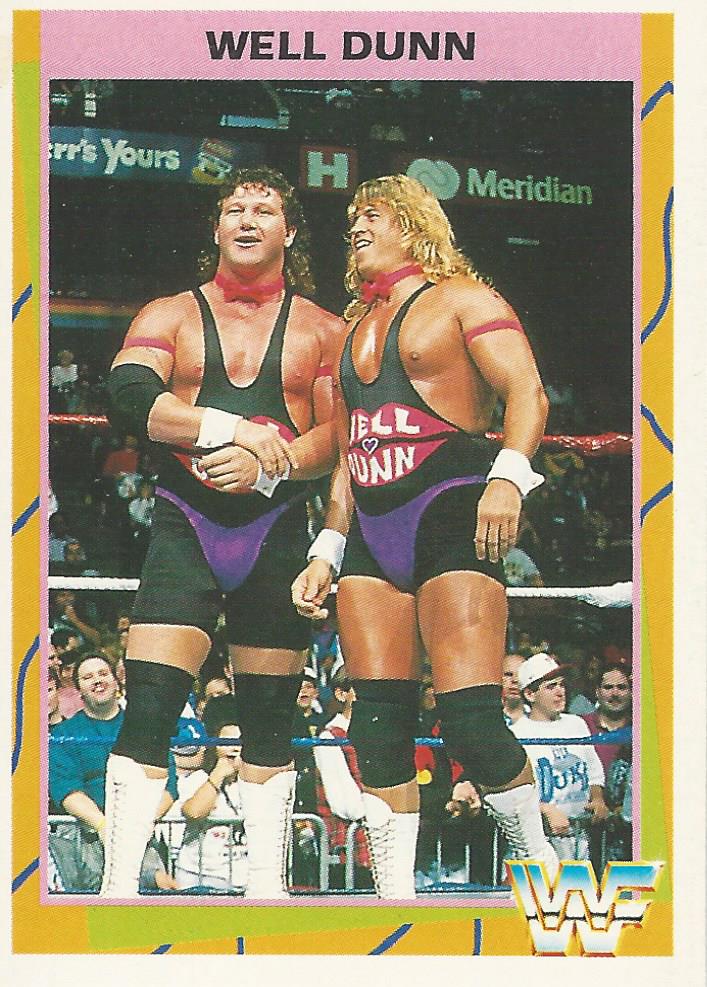 WWF Merlin 1995 Well Dunn #78