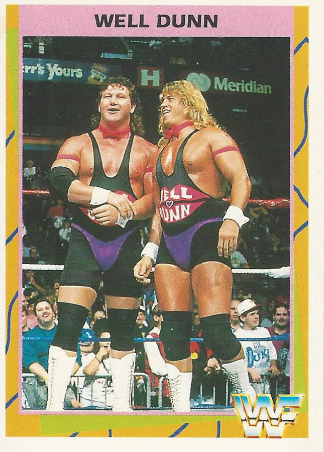 WWF Merlin 1995 Well Dunn #78