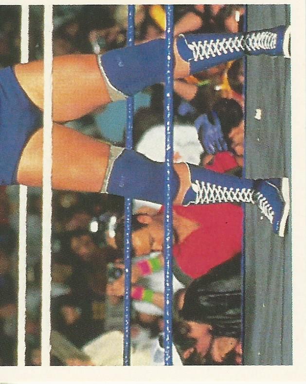 WWF Merlin Stickers 1992 Hacksaw Jim Duggan #78